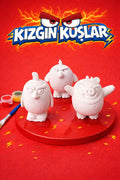 Kizgin kuslar Tas boyama seti